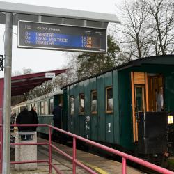 Jindřichohradecké úzkokolejky představují soubor dvou úzkokolejných drah s rozchodem 760 mm. Jsou jedinečným dopravním systémem s historickým a technickým významem pro celé území. Představují kulturní dědictví nadregionálního významu. Jsou častým cílem tuzemských i zahraničních návštěvníků.  