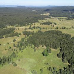 Pohoří na Šumavě  (foto: KÚ JčK, Odbor OZZL).
