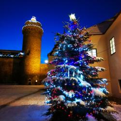Opravdové Vánoce v jižních Čechách. Nasvícená zoo ohromí, krampusové vystraší, andělé potěší.