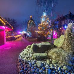 Opravdové Vánoce v jižních Čechách. Nasvícená zoo ohromí, krampusové vystraší, andělé potěší.