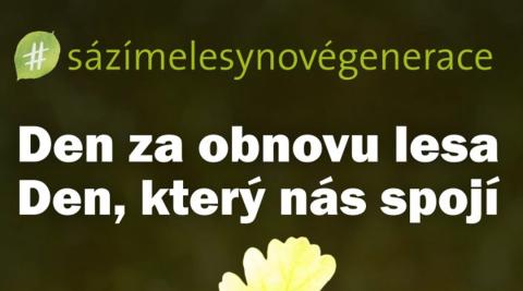 Vizuál akce - výřez