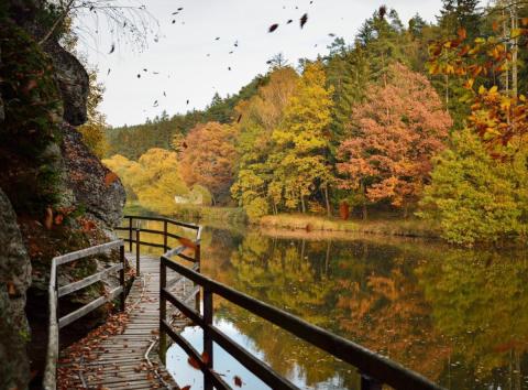 Stezka Lužnice - foto Petr Mareš.