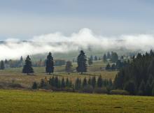 Šumava.