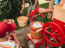 Ilustrační foto (zdroj obrázku www.pixabay.com)