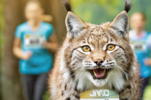Juniorský Maraton 2025, České Budějovice.