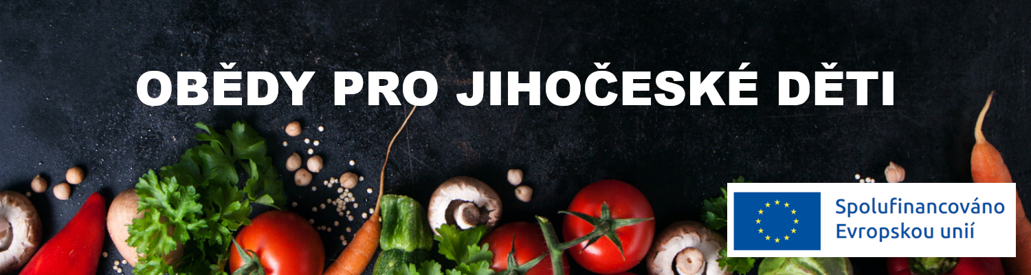 Obědy pro jihočeské děti